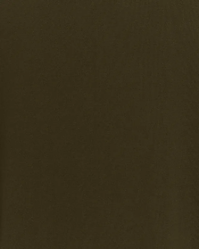 River Island muscle fit V neck t-shirt Khaki New