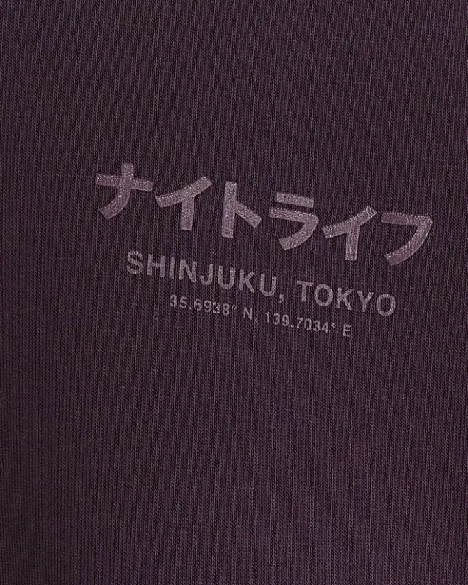 River Island regular fit Japanese graphic hoodie Purple Sale